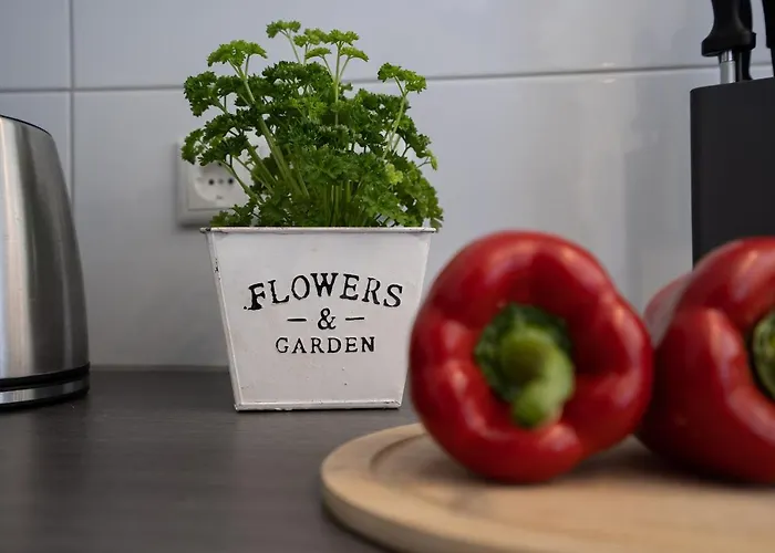 Strandwinkel 아파트 *