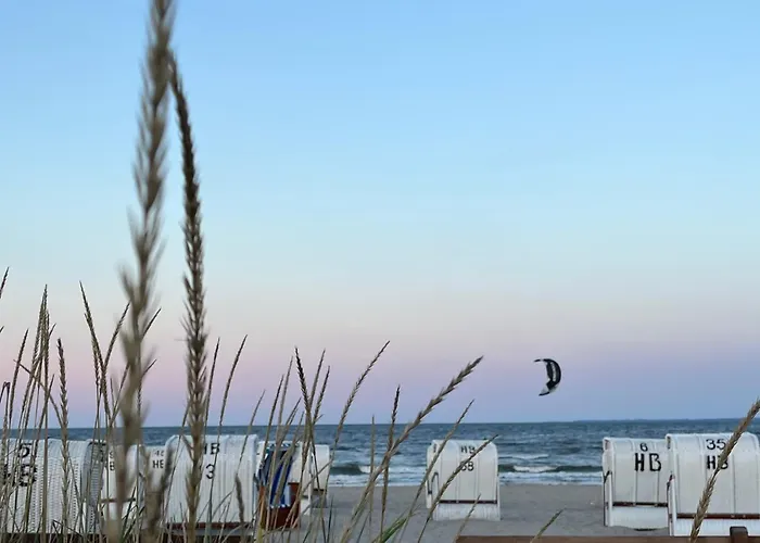 Strandwinkel * شاربوتس